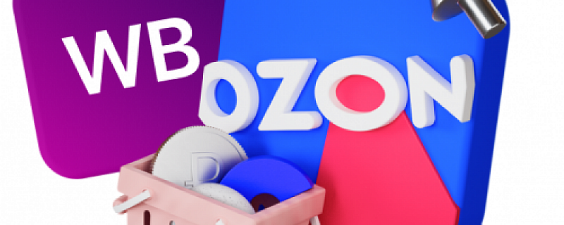 Торговля на Wildberries и Ozon: какой налоговый режим выбрать?